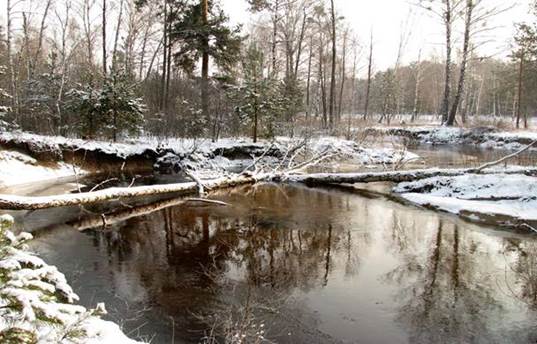 Ріка Болотниця, фото Палова С. О.