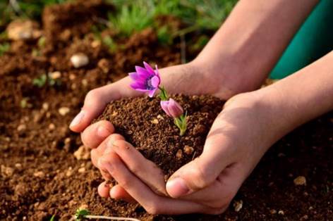 https://agrozernoholding.com/wp-content/uploads/2017/11/f_handful-of-soil-696x463.jpg