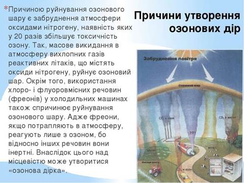 як бачать тварини - презентація з біології