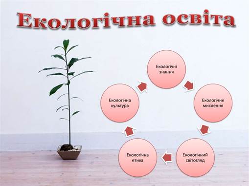 Формування екологічної компетентності учнів шляхом впровадження екологічної  освіти у навчально-виховному процесі - презентация онлайн