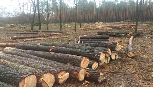 http://zhitomir.today/app_default/media/news/_cache/11201914_10206709939881813_2092006910826888619_n_960_720_4_w.jpg