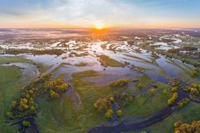https://wildpolesia.org/ukr/wp-content/uploads/sites/3/2018/11/save-polesia-plain.jpg