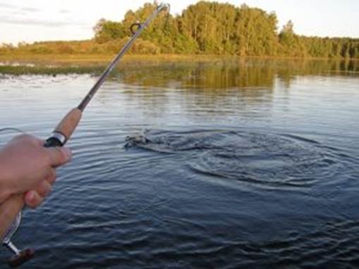 http://chernyakhiv.org.ua/wp-content/uploads/2017/04/fishing1-300x225.jpg